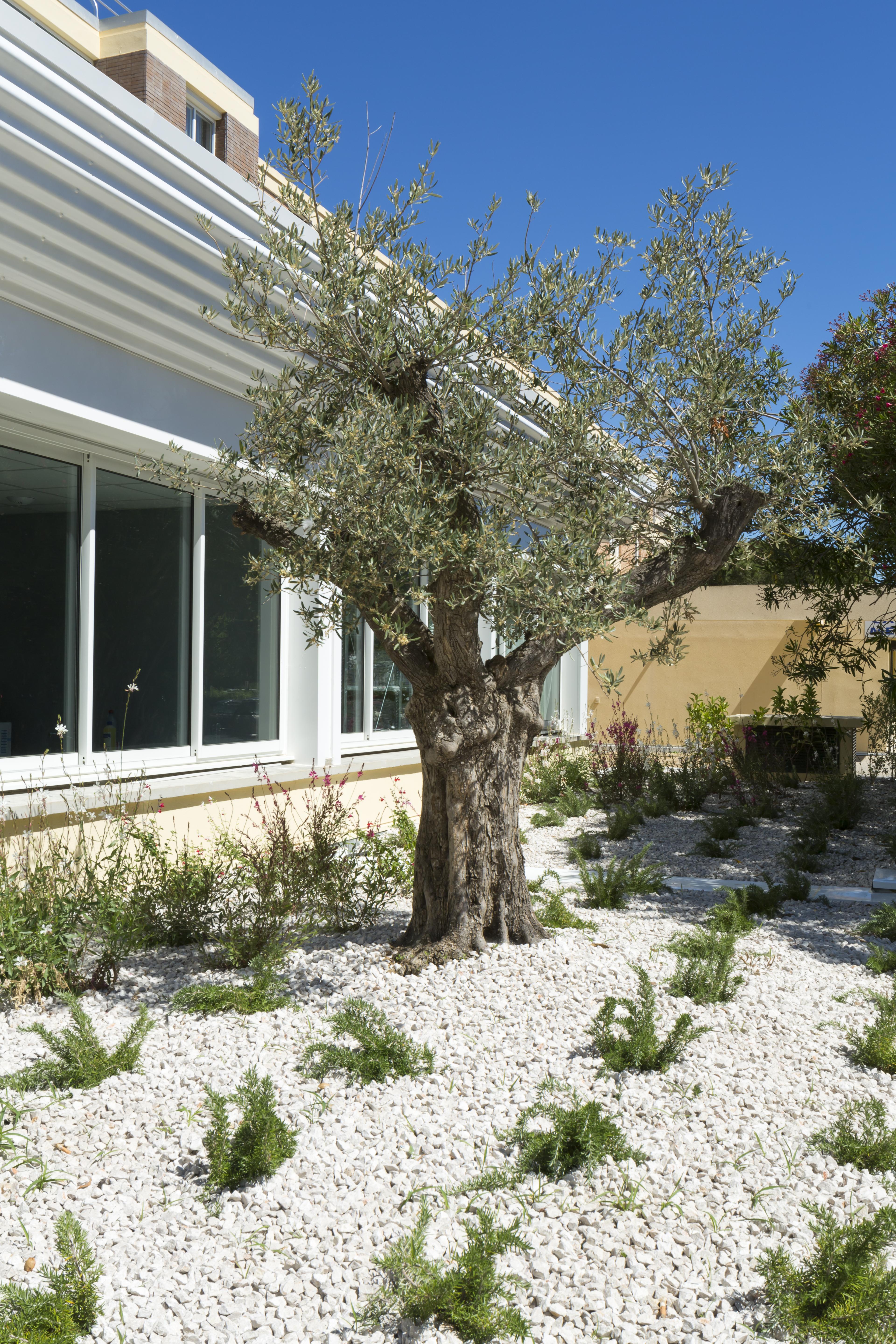 Logis Hotel Les Pins - Operalia Balaruc-les-Bains Dış mekan fotoğraf