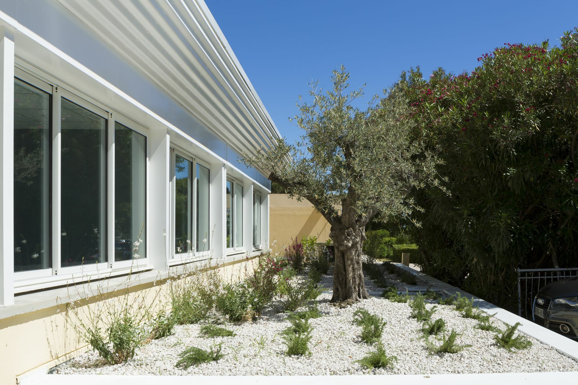 Logis Hotel Les Pins - Operalia Balaruc-les-Bains Dış mekan fotoğraf